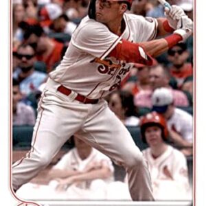 St. Louis Cardinals 2022 Topps Complete Mint Hand Collated 21 Card Team Set Featuring Yadier Molina and Adam Wainwright Plus a Lars Nootbaar Rookie Card and More