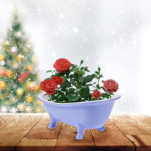 GANAZONO Jewelry Tray Bathtub Shape Ceramic Flower Pot Bonsai Flower Pot Mini Flower Pot Plant Container for Indoor Outdoor Garden Plants Decor