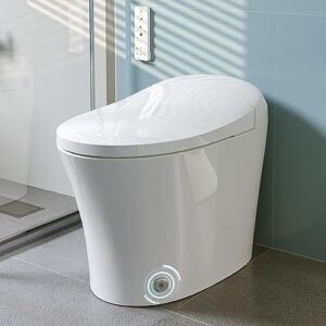 horow smart toilet with heated bidet, instant warm water, pre-wet, tankless toilet with dual flush system 1/1.27 gpf