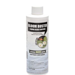 Bloom Buster Algae Control for Fish Ponds & Water Gardens - 8 Ounces - Safe for Koi Fish, Goldfish & Plants - Controls Algae in Ponds & Water Features, EPA Registered