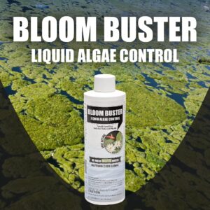 Bloom Buster Algae Control for Fish Ponds & Water Gardens - 8 Ounces - Safe for Koi Fish, Goldfish & Plants - Controls Algae in Ponds & Water Features, EPA Registered