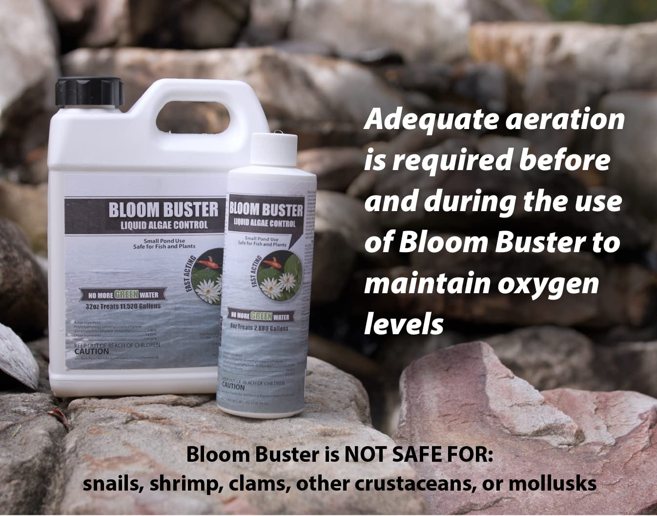 Bloom Buster Algae Control for Fish Ponds & Water Gardens - 8 Ounces - Safe for Koi Fish, Goldfish & Plants - Controls Algae in Ponds & Water Features, EPA Registered