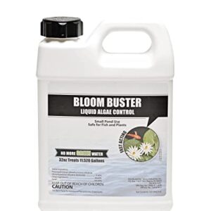 Bloom Buster Algae Control for Fish Ponds & Water Gardens - 32 Ounces - Safe for Koi Fish, Goldfish & Plants - Controls Algae in Ponds & Water Features, EPA Registered