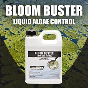 Bloom Buster Algae Control for Fish Ponds & Water Gardens - 32 Ounces - Safe for Koi Fish, Goldfish & Plants - Controls Algae in Ponds & Water Features, EPA Registered