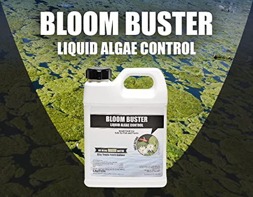 Bloom Buster Algae Control for Fish Ponds & Water Gardens - 32 Ounces - Safe for Koi Fish, Goldfish & Plants - Controls Algae in Ponds & Water Features, EPA Registered