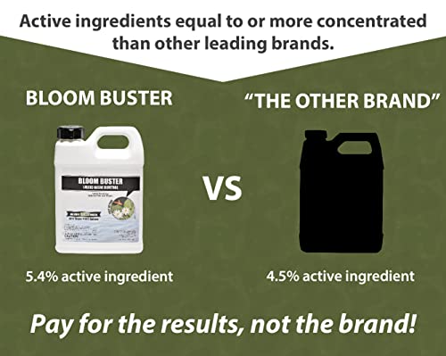 Bloom Buster Algae Control for Fish Ponds & Water Gardens - 32 Ounces - Safe for Koi Fish, Goldfish & Plants - Controls Algae in Ponds & Water Features, EPA Registered