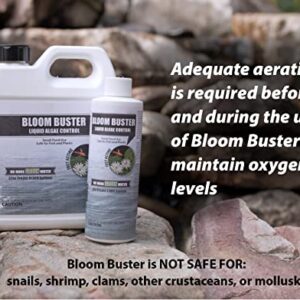 Bloom Buster Algae Control for Fish Ponds & Water Gardens - 32 Ounces - Safe for Koi Fish, Goldfish & Plants - Controls Algae in Ponds & Water Features, EPA Registered