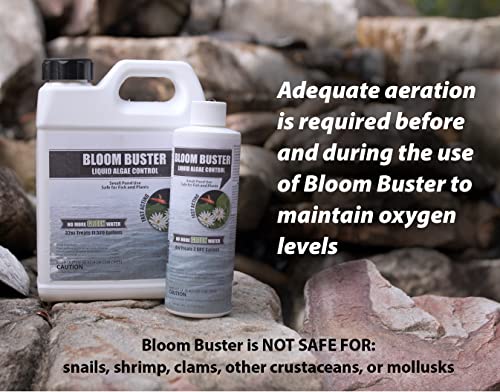 Bloom Buster Algae Control for Fish Ponds & Water Gardens - 32 Ounces - Safe for Koi Fish, Goldfish & Plants - Controls Algae in Ponds & Water Features, EPA Registered