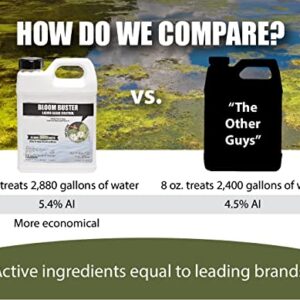 Bloom Buster Algae Control for Fish Ponds & Water Gardens - 32 Ounces - Safe for Koi Fish, Goldfish & Plants - Controls Algae in Ponds & Water Features, EPA Registered