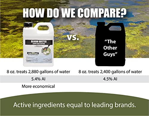 Bloom Buster Algae Control for Fish Ponds & Water Gardens - 32 Ounces - Safe for Koi Fish, Goldfish & Plants - Controls Algae in Ponds & Water Features, EPA Registered
