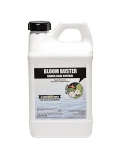 bloom buster pond algae control - 64oz - fast acting algaecide, use in fountains & outdoor ponds containing koi & other fish - epa registered