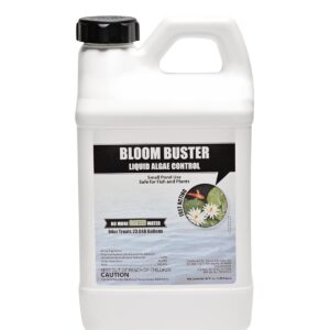 Bloom Buster Pond Algae Control - 64oz - Fast Acting Algaecide, Use in Fountains & Outdoor Ponds Containing Koi & Other Fish - EPA Registered