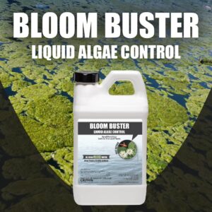 Bloom Buster Pond Algae Control - 64oz - Fast Acting Algaecide, Use in Fountains & Outdoor Ponds Containing Koi & Other Fish - EPA Registered