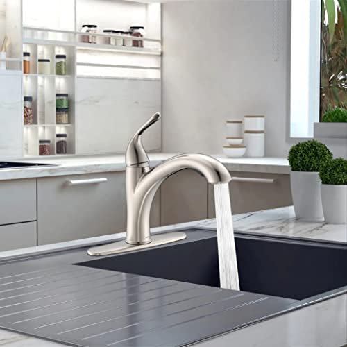 Kitchen Sink Faucet - Single Handle Pull-Out Sprayer Kitchen Faucet in Brushed Nickel with Deckplate(Brushed Nickel)…