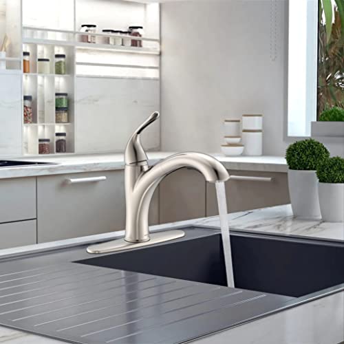 Kitchen Sink Faucet - Single Handle Pull-Out Sprayer Kitchen Faucet in Brushed Nickel with Deckplate(Brushed Nickel)…