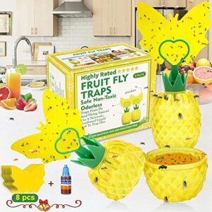 protecker fruit fly trap with sticker, effective fly catcher gnat trap with yellow sticky traps, gnat trap with bait for indoor and outdoor safe non-toxic fly trap for home, plant, kitchen(2 pack)