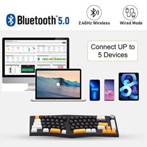 EPOMAKER Feker Alice Layout Gasket 68-Key Hot Swappable Bluetooth/2.4Ghz/ Type-C Wired/Wireless Gaming Keyboard, with 8000mAh Battery, NKRO, RGB Backlight, Dye-sub PBT Keycaps, for Win/Mac (Black)