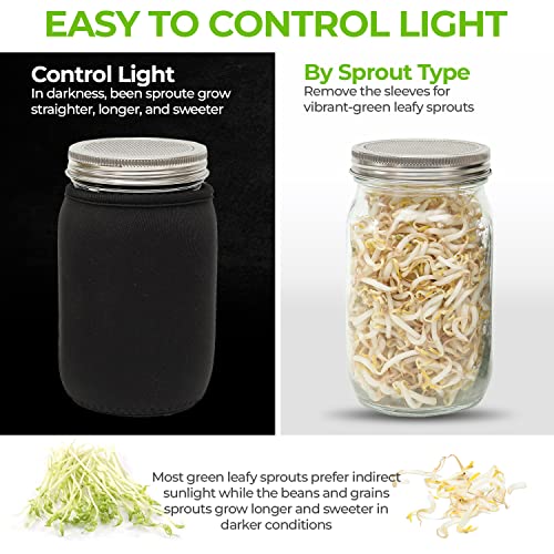 Sprouting Jar Kit Microgreens Grower - Set of 2 Wide Mouth Mason Jars with Stainless Steel Sprout Lids - Sprouter for Growing Broccoli Alfalfa Mung Bean Seeds - FUASHA