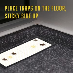 Cricket Traps Indoor (12 Traps) Extra Large Bug Sticky Traps - Non-Toxic Extra Sticky Glue Traps for Bugs - Pre-Baited Fruity Scent Crickets Bug Trap Indoor - Insect Glue Traps for Bugs - Trap a Pest