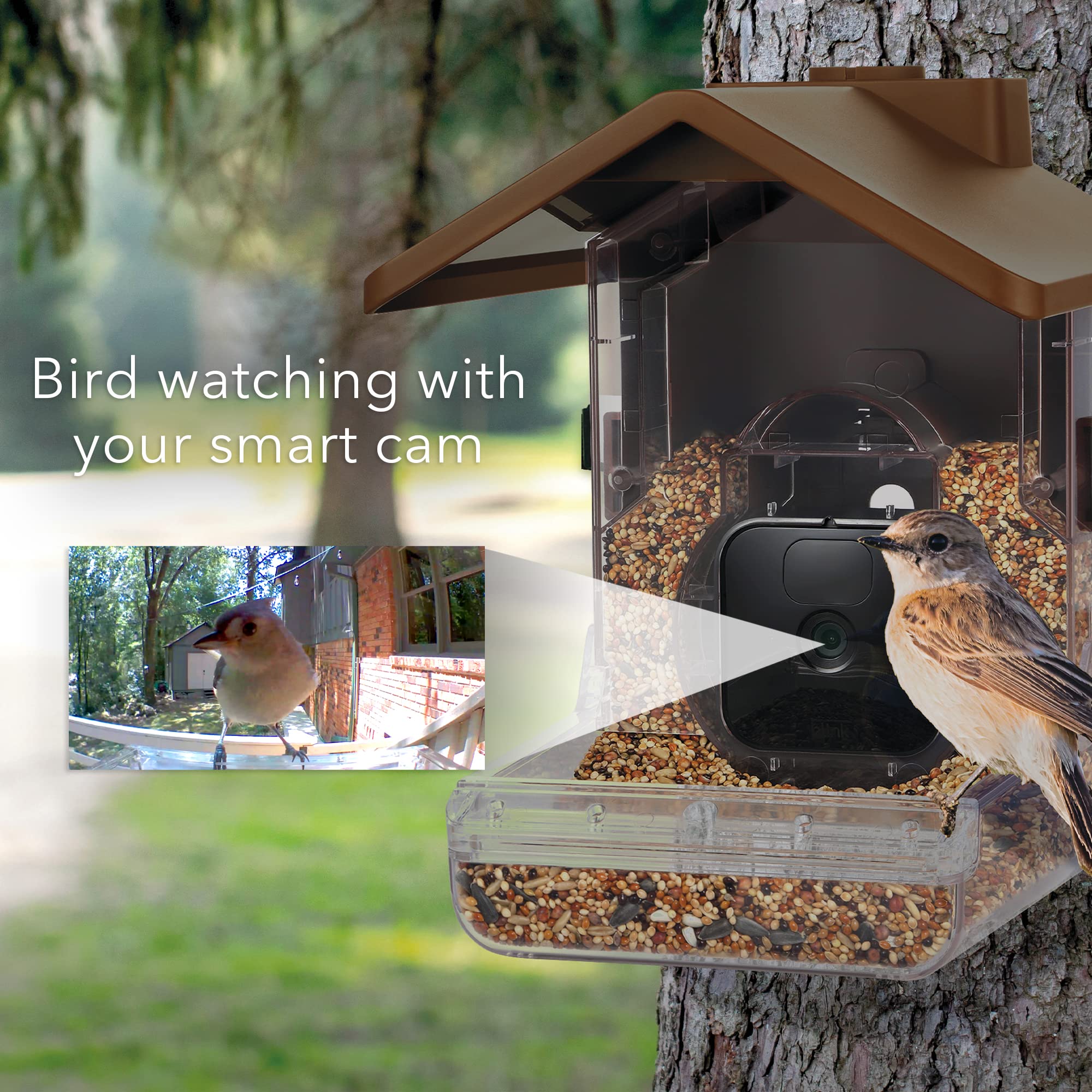 Wasserstein Bird Feeder Camera Case Compatible with Blink, Wyze, and Ring Camera for Bird Watching with Your Security Cam - (Camera NOT Included)