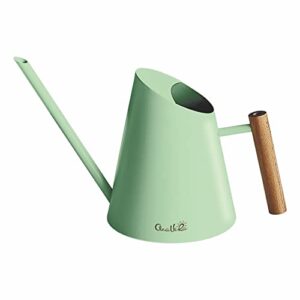 Grehge an Indoor Plants, Small Stainless Water Can Wooden Handle for House and Office Bonsai Flowers, Cute Watering Can Garden Sculpture Outdoor Decoration