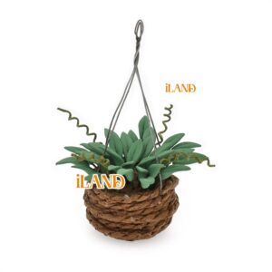 iland Miniature Dollhosue Accessories on 1 12 Scale, Mini Plants & Plant Hangers Set (Green Plants w/Wall Hooks 5pcs)