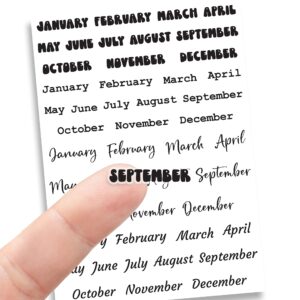mini months planner stickers, undated planner, 144 months of the year stickers, decorative planning stickers, clear removable waterproof vinyl stickers, black font modern fancy