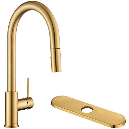 AguaStella AS60BG Brushed Gold Pull Down Kitchen Faucet and ASD52BG Brushed Gold Deck Plate Combination