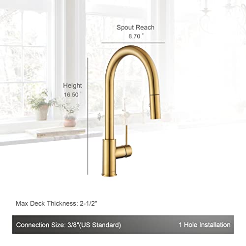 AguaStella AS60BG Brushed Gold Pull Down Kitchen Faucet and ASD52BG Brushed Gold Deck Plate Combination