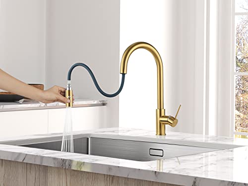 AguaStella AS60BG Brushed Gold Pull Down Kitchen Faucet and ASD52BG Brushed Gold Deck Plate Combination