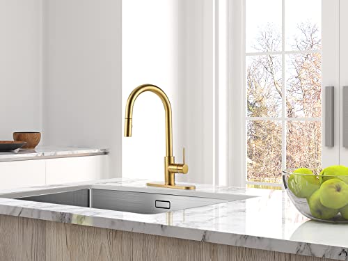 AguaStella AS60BG Brushed Gold Pull Down Kitchen Faucet and ASD52BG Brushed Gold Deck Plate Combination