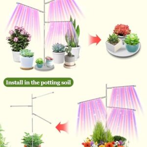 HAARAY Plant Grow Lights for Indoor Plants Full Spectrum, 3-Head LED Plant Growing Lamps with Height Adjustable and Rotatable Stand, 10 Dimmable Level, 3/9/12H Timer, 3 Switch Modes