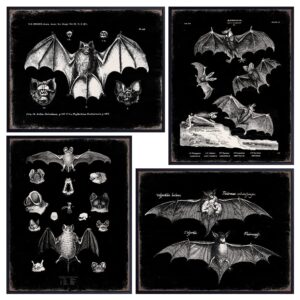 black bats gothic wall decor - vintage retro wall art & decor - room or home decor - hipster decoration - horror vampire bat gift - creepy scary anatomical picture poster print set 8x10 unframed