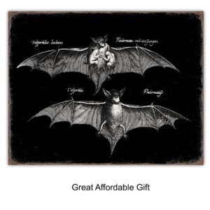 Black Bats Gothic Wall Decor - Vintage Retro Wall Art & Decor - Room or Home Decor - Hipster decoration - Horror Vampire bat Gift - Creepy Scary Anatomical Picture Poster print Set 8x10 UNFRAMED