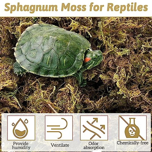 kathson Sphagnum Moss for Reptiles, 10.5 Oz Natural Dried Moss, Reptiles Peat Moss, Natural Sphagnum Moss, Frog Moss for Leopard, Long Fibered Dried Moss for Tortoise/Bearded Dragon/Snake/Lizard