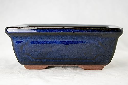 Rectangular Blue Glazed Cactus & Succulent Planter, Bonsai Pot + Mesh + Wire - 6"x 4.5"x 2.25"