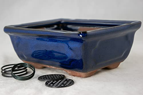 Rectangular Blue Glazed Cactus & Succulent Planter, Bonsai Pot + Mesh + Wire - 6"x 4.5"x 2.25"