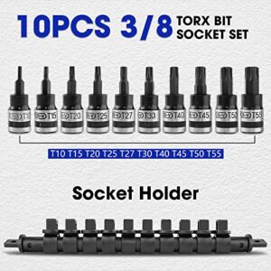 PTSTEL 3/8 Inch Bit Socket Set With Socket Holder 10pcs 3/8'' Drive Bit Socket Set CR-V Socket and S2 Bits (10 Pcs Torx Bit Socket 3/8 '' Drive)