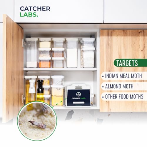 Catcher Labs Pantry Moth Pro Traps with Pheromones | Sticky Glue Moth Traps for Kitchen | Traps to Get Rid of Moths in House | Non-Toxic Moth Catcher (6-Pack)
