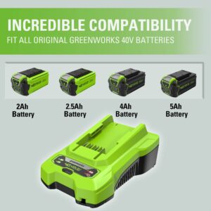 Greenworks 40V Battery Charger (Genuine Greenworks Charger)