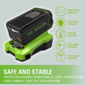 Greenworks 40V Battery Charger (Genuine Greenworks Charger)