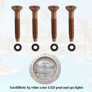 Zeiboat 4 Pack 79104800 Spa and Pool Light Screws with Gum Washers, Pool Screw Replacement