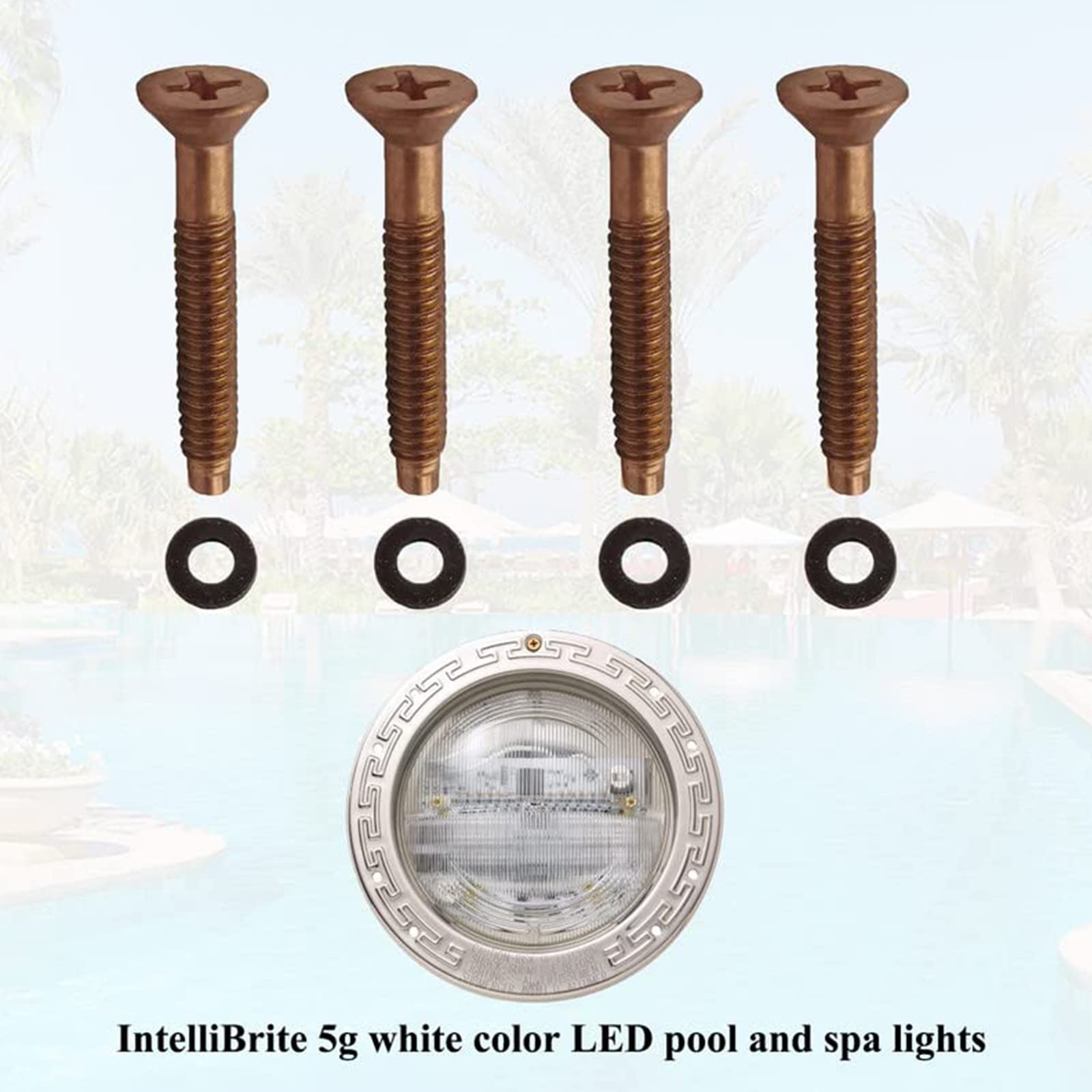 Zeiboat 4 Pack 79104800 Spa and Pool Light Screws with Gum Washers, Pool Screw Replacement