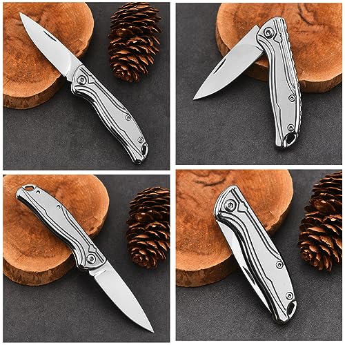 DHDestined Fateful Pocket Folding Knife, for Camping Survival Indoor and Outdoor Activities