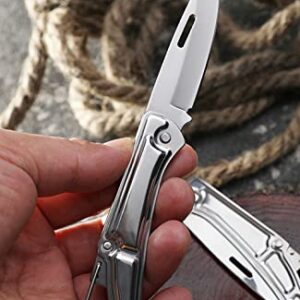 DHDestined Fateful Mini Pocket Knife Folding Knife, with 2.6in Sharp Steel Blade, EDC Knife for Hiking, Camping, Outdoor