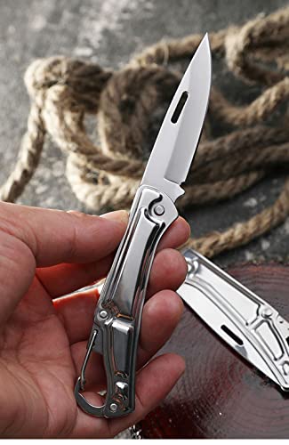 DHDestined Fateful Mini Pocket Knife Folding Knife, with 2.6in Sharp Steel Blade, EDC Knife for Hiking, Camping, Outdoor