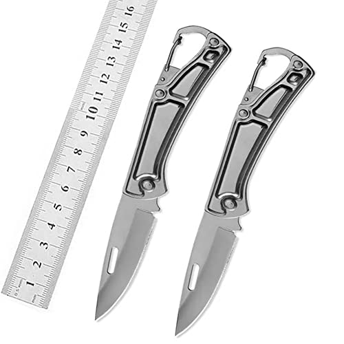 DHDestined Fateful Mini Pocket Knife Folding Knife, with 2.6in Sharp Steel Blade, EDC Knife for Hiking, Camping, Outdoor