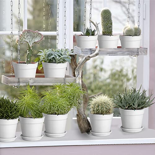 Olisx 12 Pack 4 inch Plastic Planters, Seedlings Plant Nursery Pots with Drainage Holes and Saucers for Plants Flowers Succulent and All House Plants, White