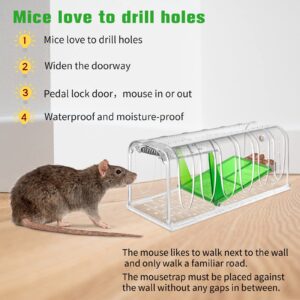 Heyouou Humane Mouse Traps Indoor Outdoor, Reusable Rat Catch and Release That Work, No Kill Live Safe Mice Trap Catcher for House, Garage, Small Rodent, Voles, Hamsters, Mole 2 pack Blue Mouse Traps