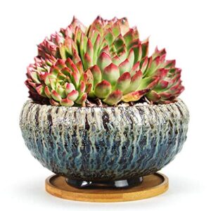 summer impressions 8 inch natural cracking round ceramic succulent planter pot with drainge hole and saucer cactus clay pot
